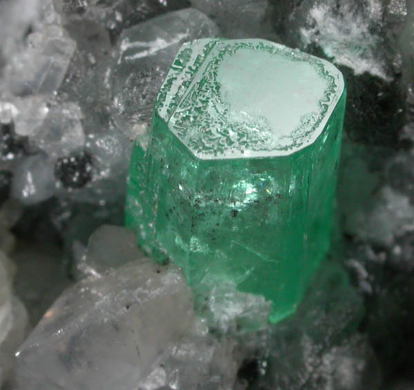 Beryl var. Emeralds in Calcite from Coscuez Mine, Vasquez-Yacop District, Boyac Department, Colombia