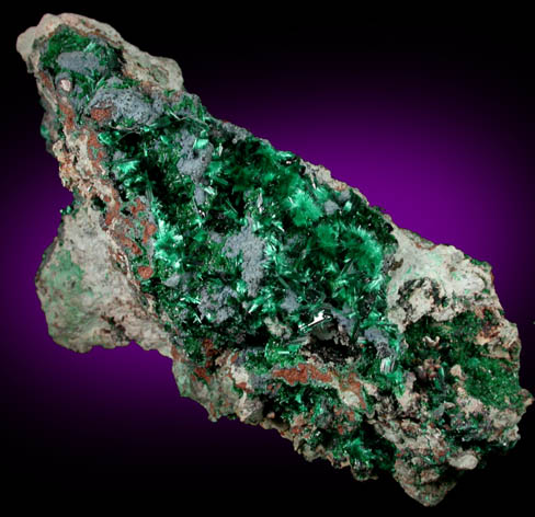 Malachite with Plancheite from Katanga Copperbelt, Democratic Republic of the Congo