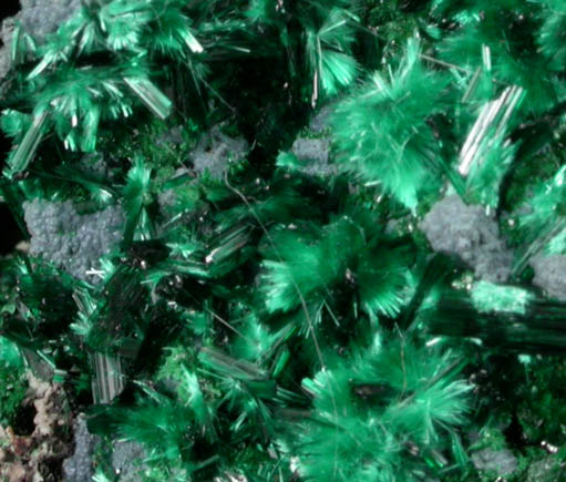 Malachite with Plancheite from Katanga Copperbelt, Democratic Republic of the Congo