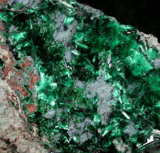 Malachite with Plancheite from Katanga Copperbelt, Democratic Republic of the Congo