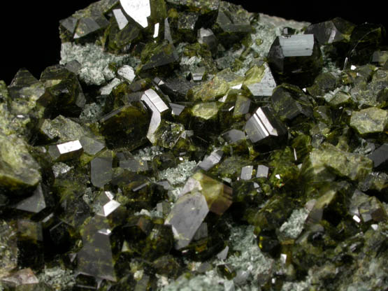 Epidote on Actinolite pseudomorphs after Diopside (Uralite) from Calumet Mine, 12 km NNE of Salida, Chaffee County, Colorado