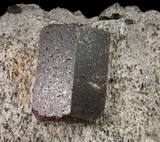 Staurolite with Almandine in schist from Pond Hill, near Pearl Lake, Lisbon, Grafton County, New Hampshire