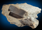 Staurolite with Almandine in schist from Pond Hill, near Pearl Lake, Lisbon, Grafton County, New Hampshire