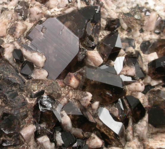 Quartz var. Smoky on Microcline from Ossipee Gulch (Raccoon Gulch), Folsom Brook, Center Ossipee, Carroll County, New Hampshire