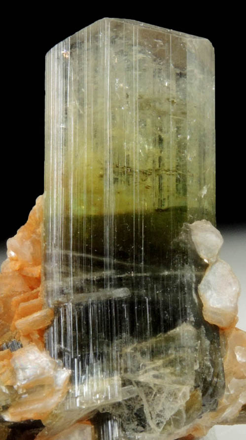 Elbaite Tourmaline from Paprok, Kamdesh District, Nuristan Province, Afghanistan