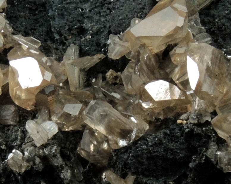 Cerussite (twinned crystals) on Galena from Touissit Mine, 21 km SSE of Oujda, Jerada Province, Oriental, Morocco