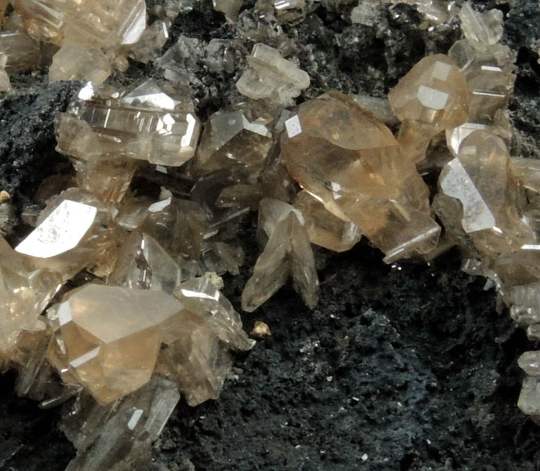 Cerussite (twinned crystals) on Galena from Touissit Mine, 21 km SSE of Oujda, Jerada Province, Oriental, Morocco