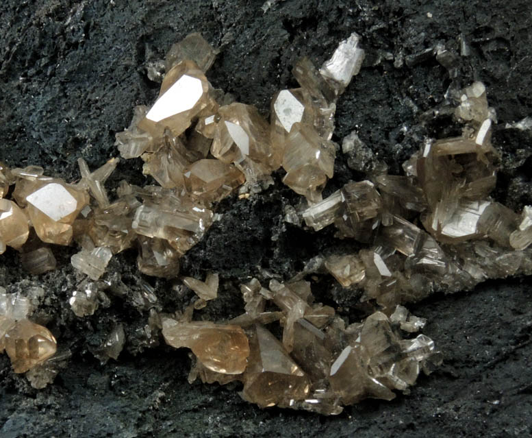 Cerussite (twinned crystals) on Galena from Touissit Mine, 21 km SSE of Oujda, Jerada Province, Oriental, Morocco