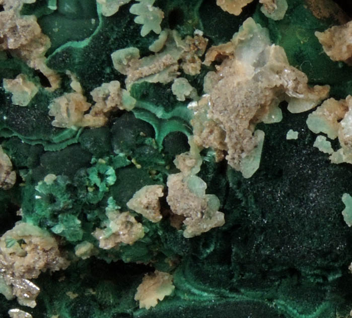 Cerussite on Malachite from Brown's Prospect, Rum Jungle, 61 km south of Darwin, Northern Territory, Australia