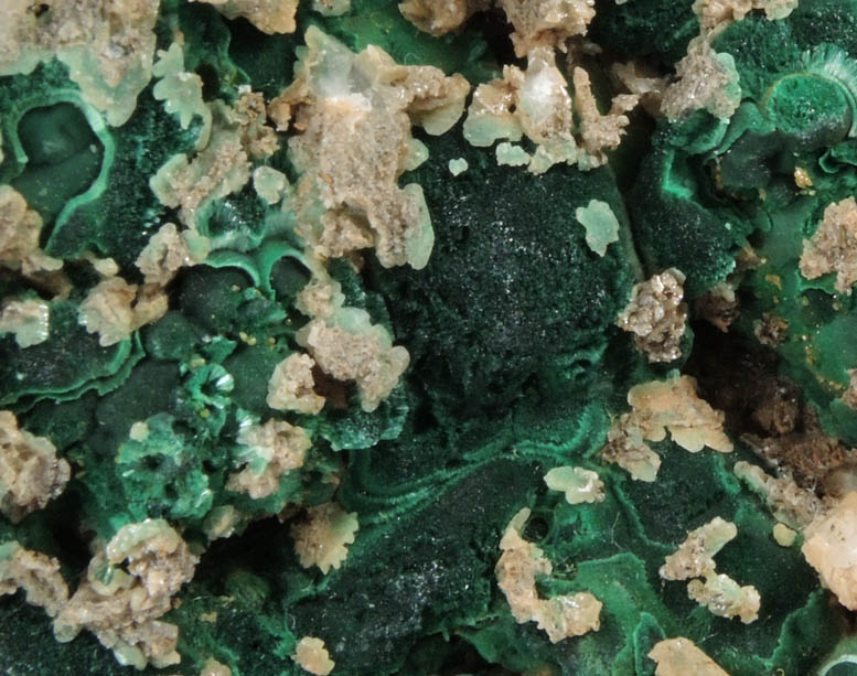 Cerussite on Malachite from Brown's Prospect, Rum Jungle, 61 km south of Darwin, Northern Territory, Australia