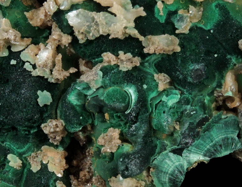 Cerussite on Malachite from Brown's Prospect, Rum Jungle, 61 km south of Darwin, Northern Territory, Australia