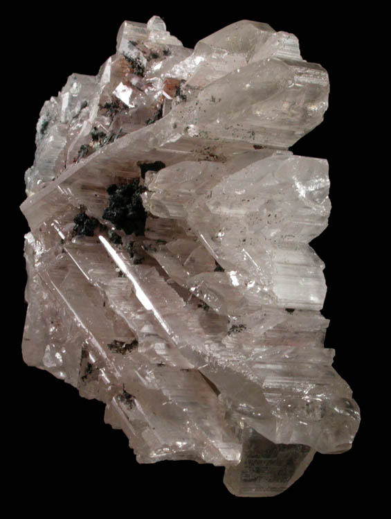 Cerussite (complexly-twinned reticulated formation) from Tsumeb Mine, Otavi-Bergland District, Oshikoto, Namibia