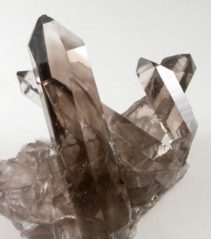 Quartz var. Smoky Quartz from Sierra Blanca, White Mountain Wilderness, Lincoln County, New Mexico