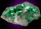 Beryl var. Emerald in Quartz from Pea Blanca Mine, San Pablo de Borbur, Vasquez-Yacop District, Boyac Department, Colombia