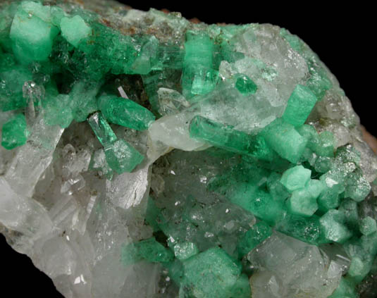 Beryl var. Emerald in Quartz from Pea Blanca Mine, San Pablo de Borbur, Vasquez-Yacop District, Boyac Department, Colombia
