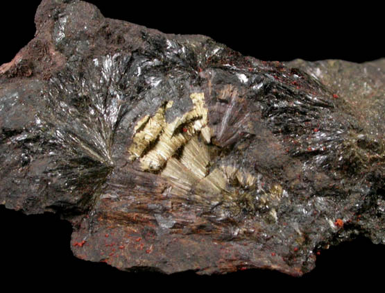 Rockbridgeite from Tip Top Mine, Custer District, Custer County, South Dakota