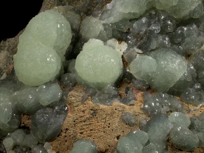 Prehnite from Riker Hill, Livingston, Essex County, New Jersey