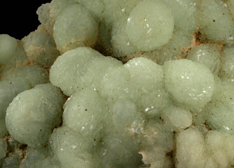 Prehnite from Riker Hill, Livingston, Essex County, New Jersey