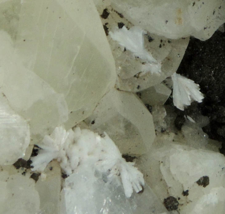 Datolite, Apophyllite, Stilbite, Laumontite, Chamosite from Prospect Park Quarry, Prospect Park, Passaic County, New Jersey