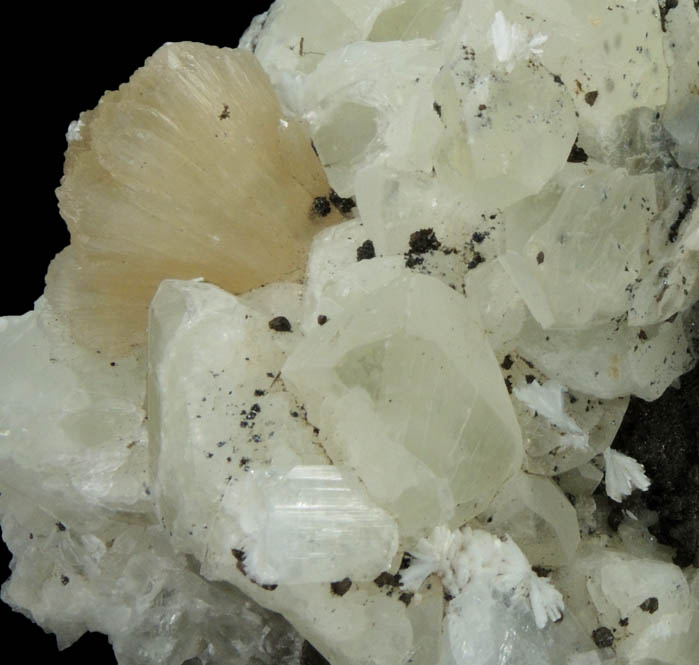 Datolite, Apophyllite, Stilbite, Laumontite, Chamosite from Prospect Park Quarry, Prospect Park, Passaic County, New Jersey