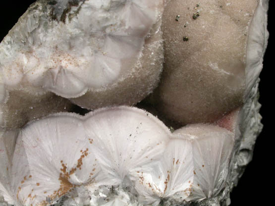 Pectolite with Pyrite from Millington Quarry, Bernards Township, Somerset County, New Jersey