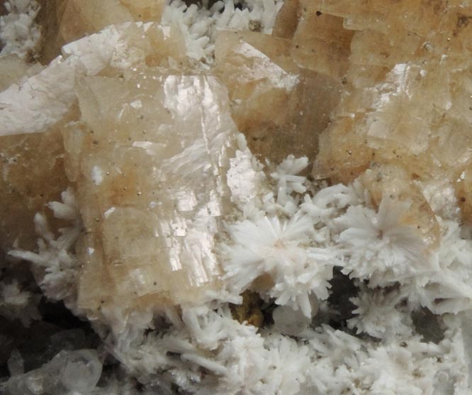 Heulandite, Laumontite, Calcite, Datolite from Prospect Park Quarry, Prospect Park, Passaic County, New Jersey