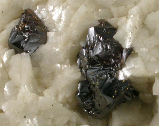 Sphalerite and Dolomite with Pyrite from Mina de Reocn, Cantabria, Spain