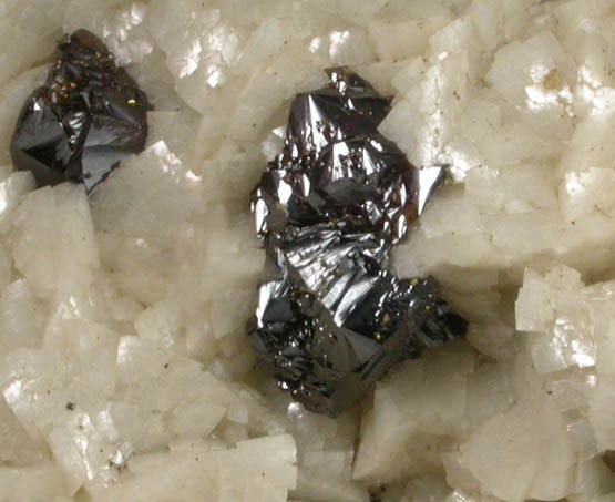Sphalerite and Dolomite with Pyrite from Mina de Reocín, Cantabria, Spain