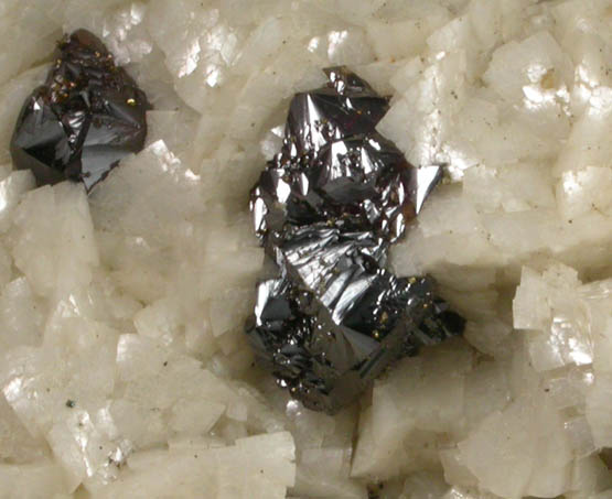 Sphalerite and Dolomite with Pyrite from Mina de Reocn, Cantabria, Spain