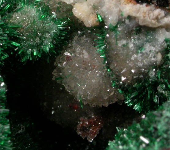 Malachite with Quartz from Zacatecas, Mexico