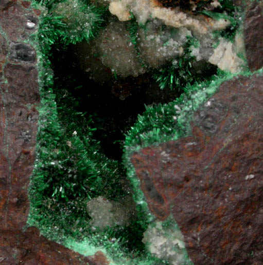 Malachite with Quartz from Zacatecas, Mexico