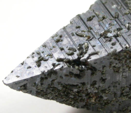 Anatase from Hardangervidda, Ullensvang Statsallmenning, Hordaland, Norway