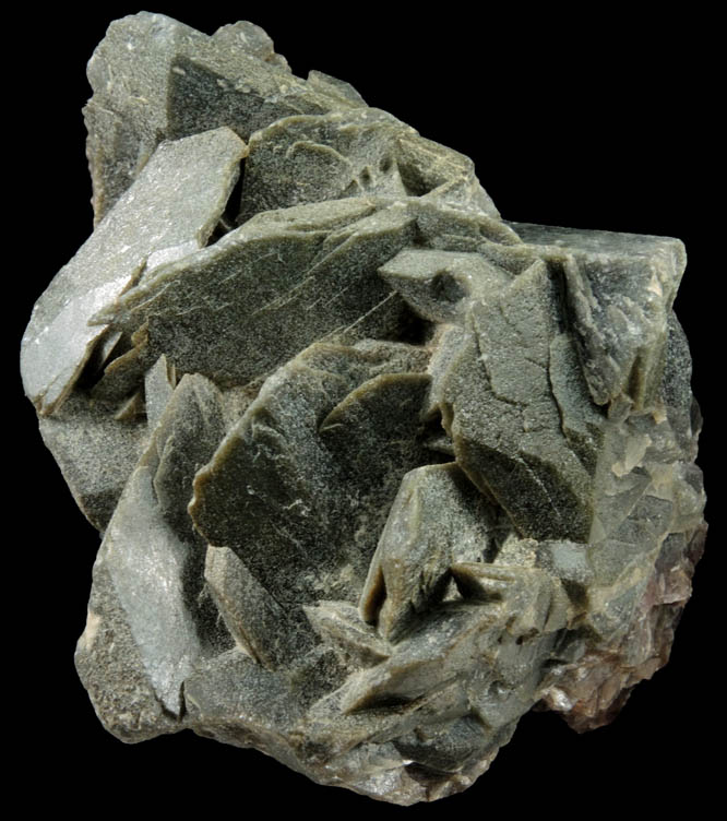 Axinite-(Fe) with Chlorite inclusions from Tomas, near Khapalu, Ghanche District, Gilgit-Baltistan, Pakistan