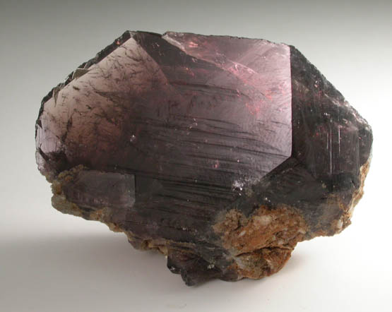 Axinite-(Fe) from Khapalu, Ghanche District, Gilgit-Baltistan, Pakistan