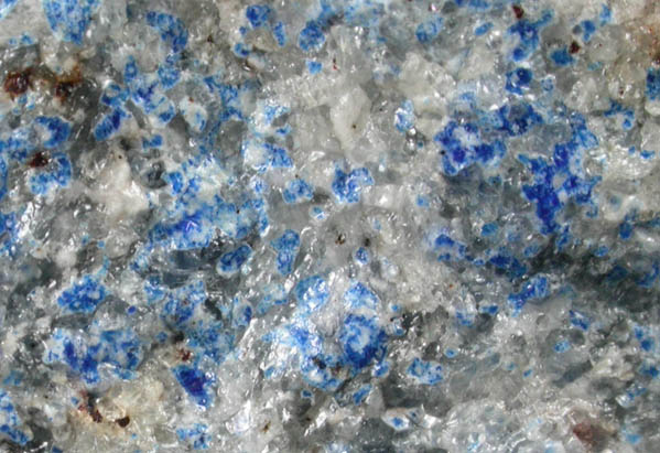 Lazurite var. Lapis Lazuli from Clyde, Baffin Island, Nunavut, Canada