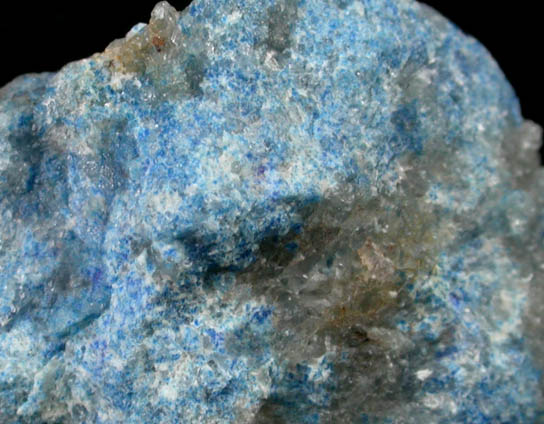 Lazurite var. Lapis Lazuli from Clyde, Baffin Island, Nunavut, Canada
