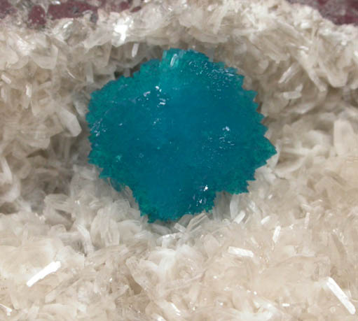 Cavansite with Stilbite-Ca from Wagholi Quarry, Maharashtra, India