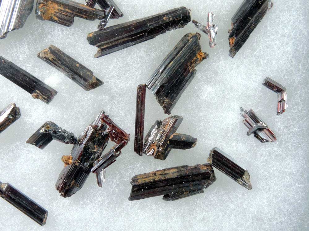 Rutile - collection of 26 rutile crystals in a Riker Mount from Hiddenite, Alexander County, North Carolina