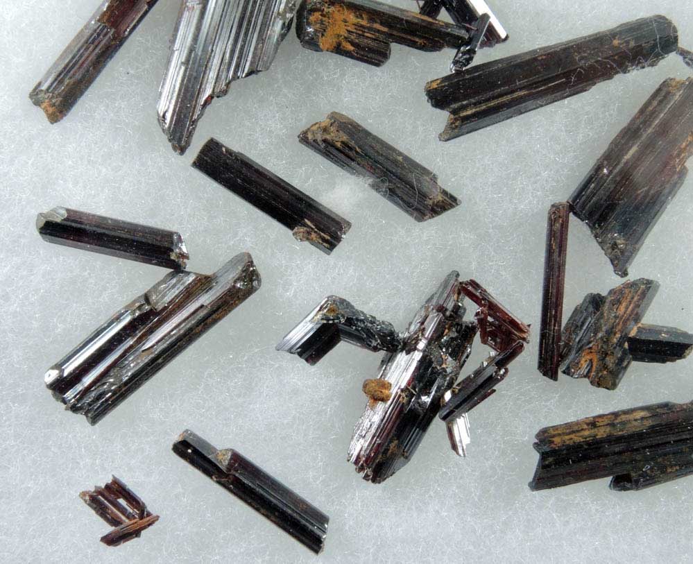 Rutile - collection of 26 rutile crystals in a Riker Mount from Hiddenite, Alexander County, North Carolina