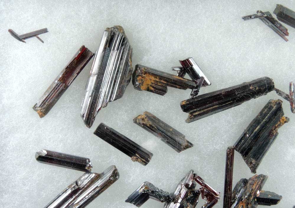 Rutile - collection of 26 rutile crystals in a Riker Mount from Hiddenite, Alexander County, North Carolina