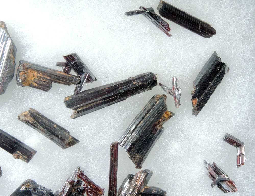 Rutile - collection of 26 rutile crystals in a Riker Mount from Hiddenite, Alexander County, North Carolina