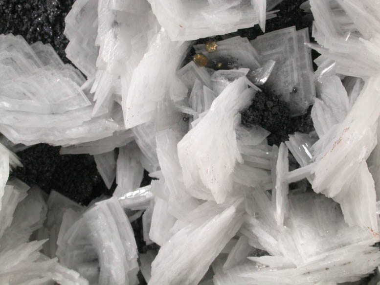 Barite on Galena with Pyrite from Huanzala Mine, Huallanca District, Huanuco Department, Peru