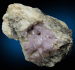 Fluorapatite from Darra-i-Pech, Kunar Province, Afghanistan