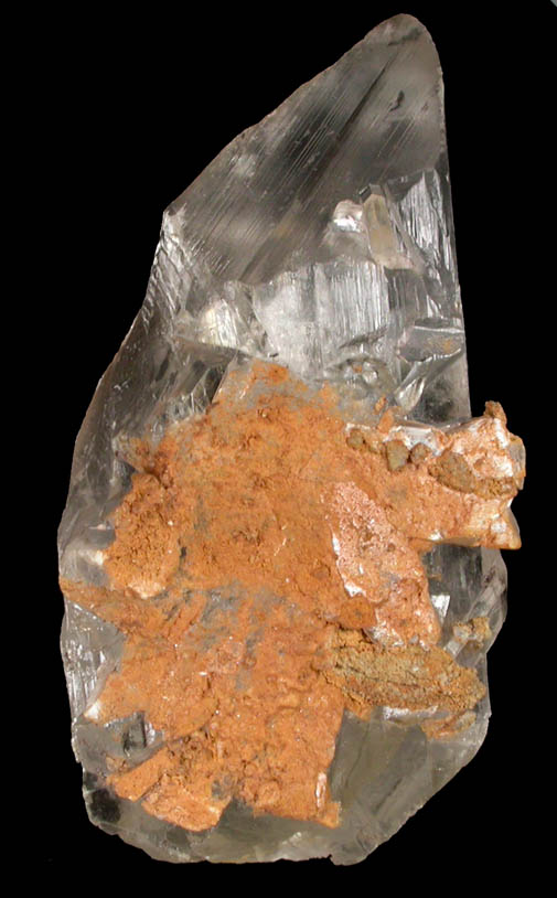 Gypsum var. Selenite from Naica District, Saucillo, Chihuahua, Mexico