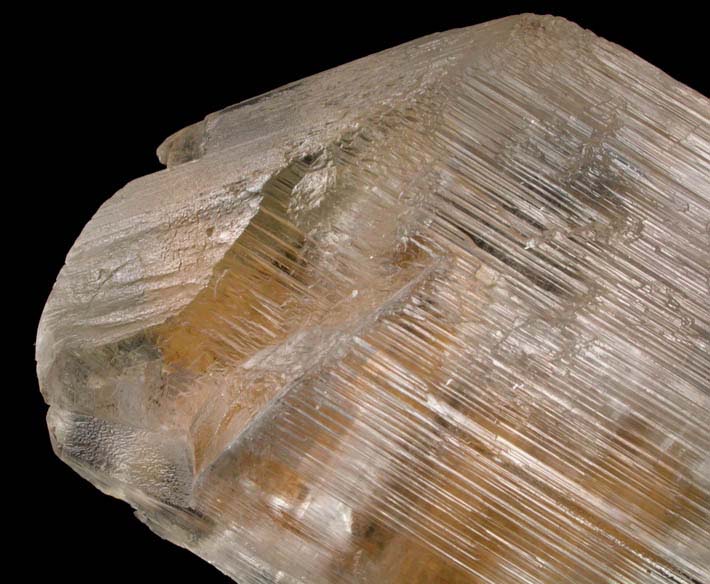 Gypsum var. Selenite from Naica District, Saucillo, Chihuahua, Mexico