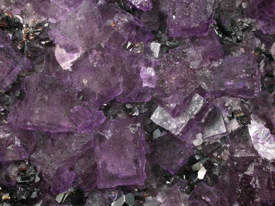 Fluorite with Sphalerite from Mahoning Mine, Cave-in-Rock District, Hardin County, Illinois