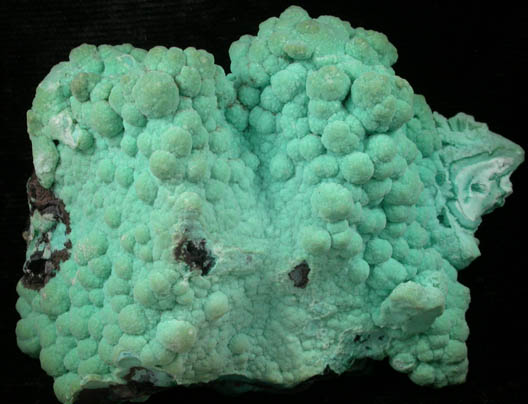 Chrysocolla pseudomorph after Gypsum or Azurite from Ray Mine, Mineral Creek District, Pinal County, Arizona