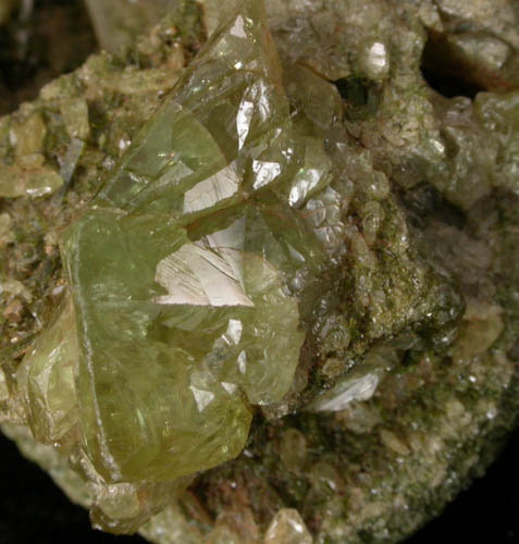 Titanite (twinned crystals) on Epidote from Capelinha, Minas Gerais, Brazil