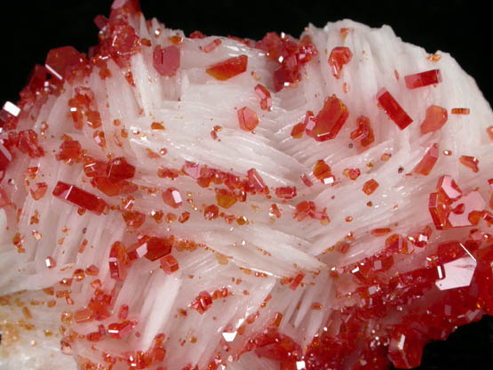 Vanadinite on Barite from Mibladen, Haute Moulouya Basin, Zeida-Aouli-Mibladen belt, Midelt Province, Morocco