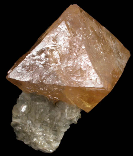 Scheelite on Muscovite from Xuebaoding Mountain near Pingwu, Sichuan Province, China